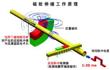 防腐型磁致伸缩液位计工作原理图